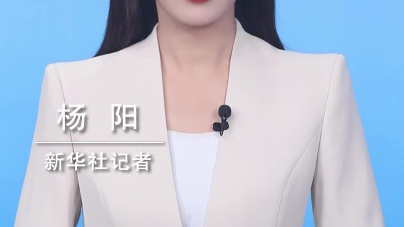 评估数据服务厂家的能力，可以从以下几个方面进行：